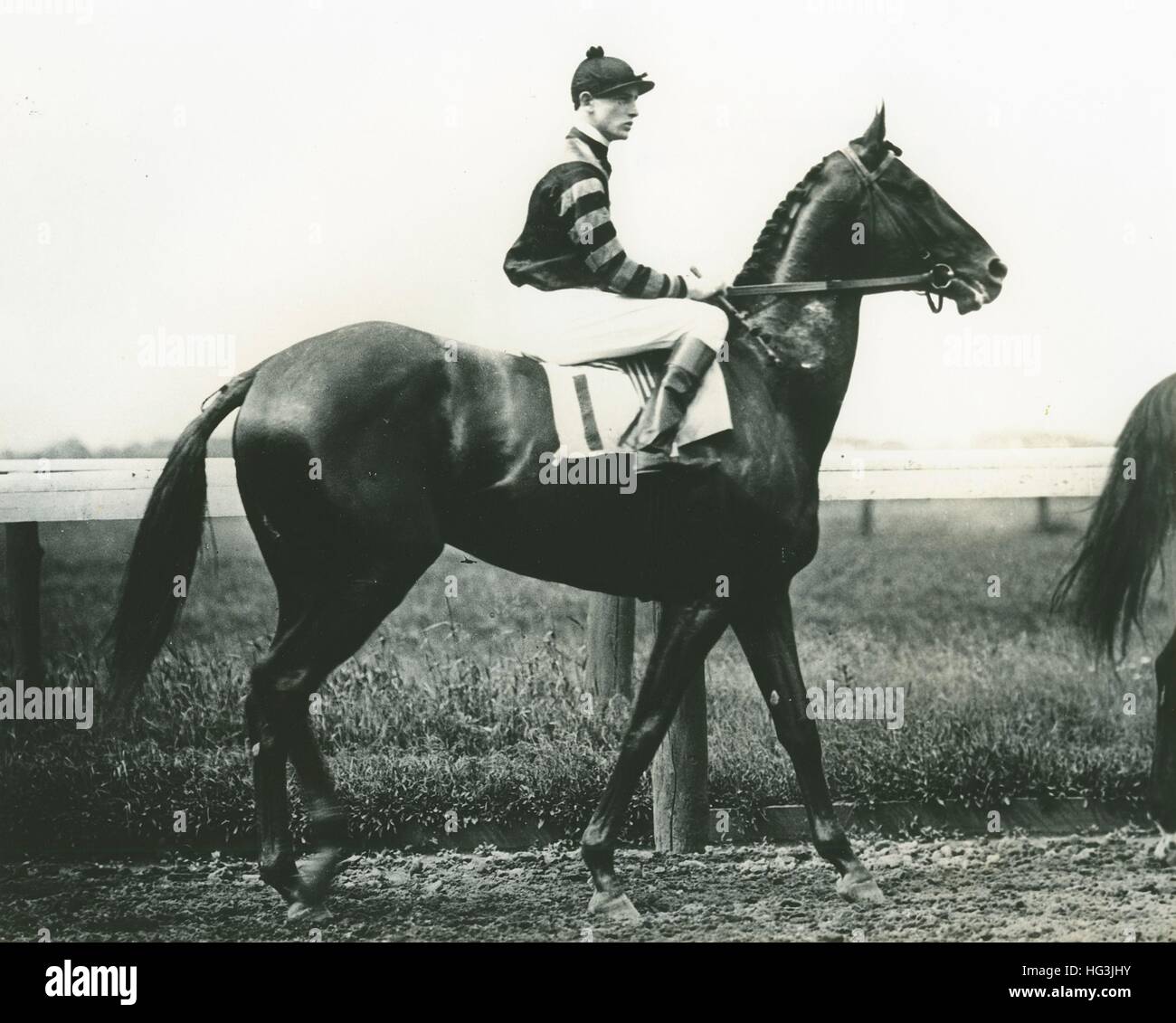 Man O' War, Clarence Kummer Up, Winner of The Preakness, 1920, Glen Riddle Farm, owner, by Bert Morgan Stock Photo