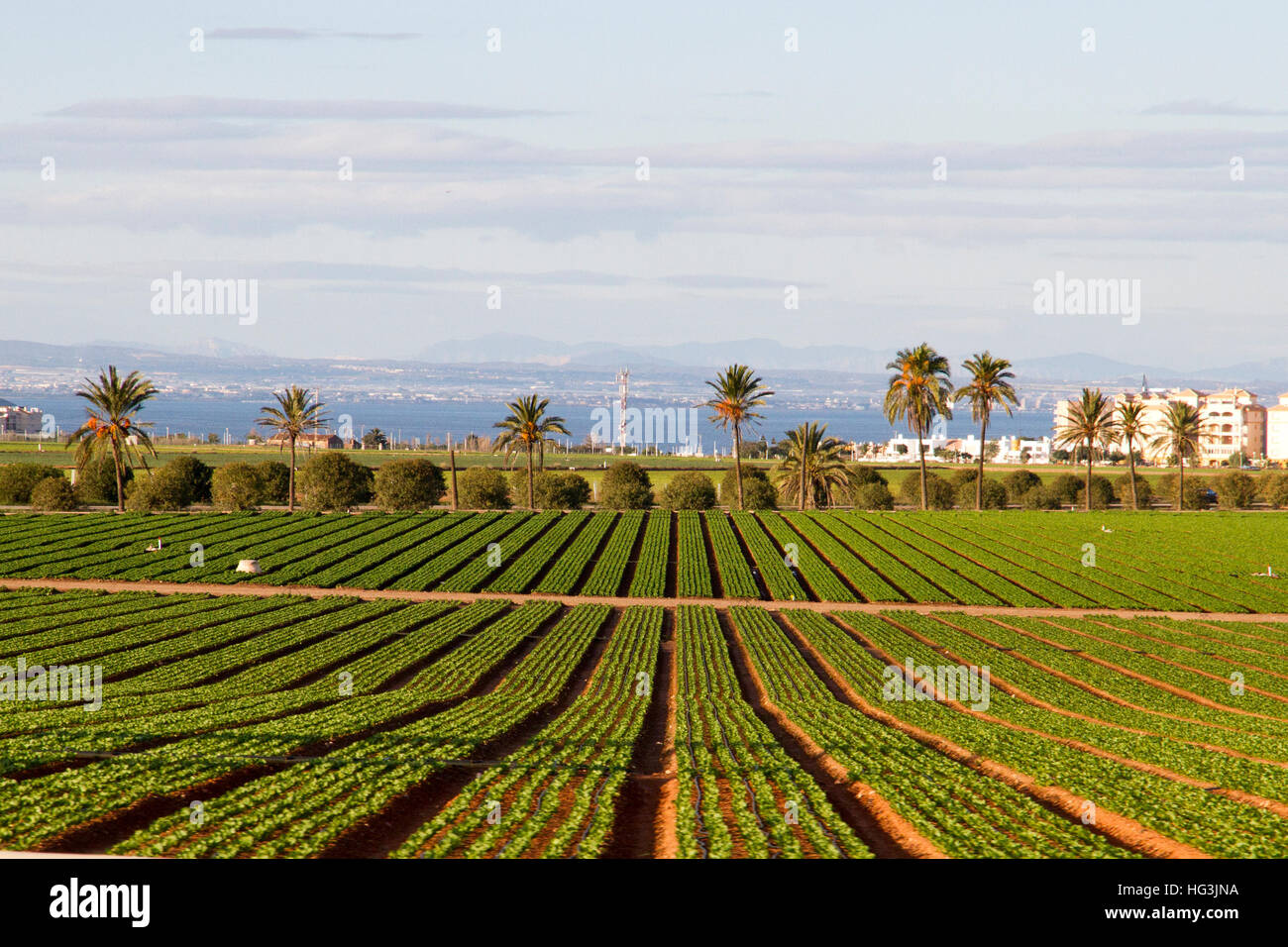 Spain Agriculture : Agricultural Land Degradation in Spain – ABSHE