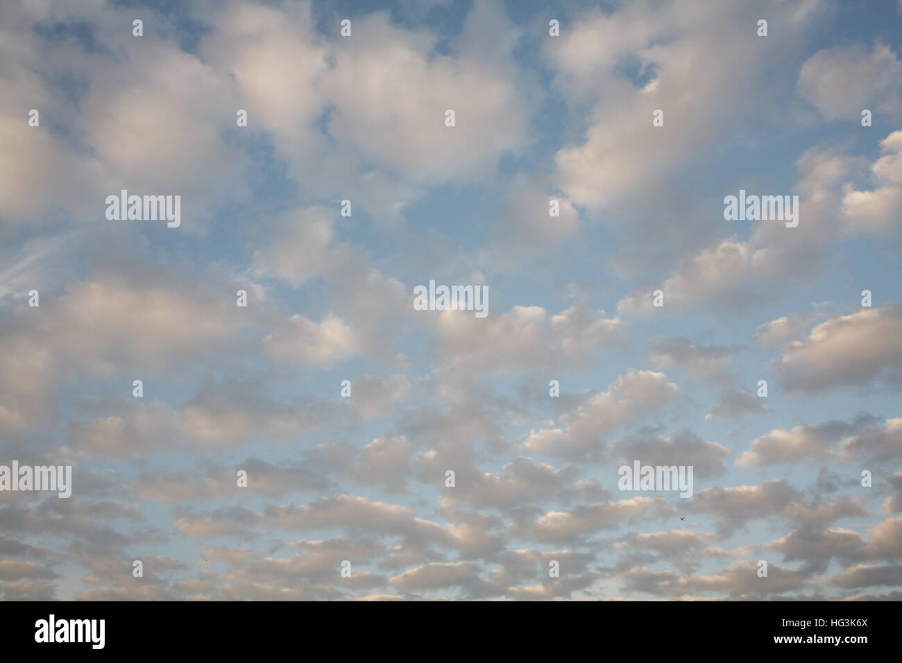 Blue sky and fluffy clouds Stock Photo - Alamy