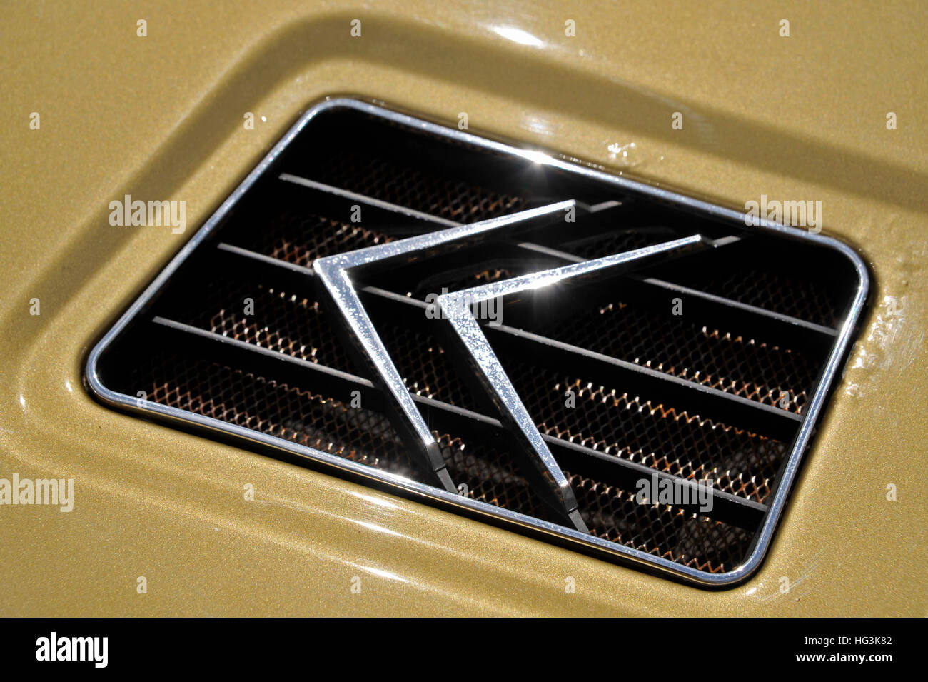 Citroen Maserati SM air intake grill and emblem Stock Photo