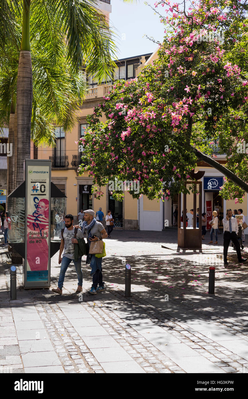 Pedestrian street, Calle Castillo, Santa Cruz de Tenerife, Canary Islands  Stock Photo - Alamy