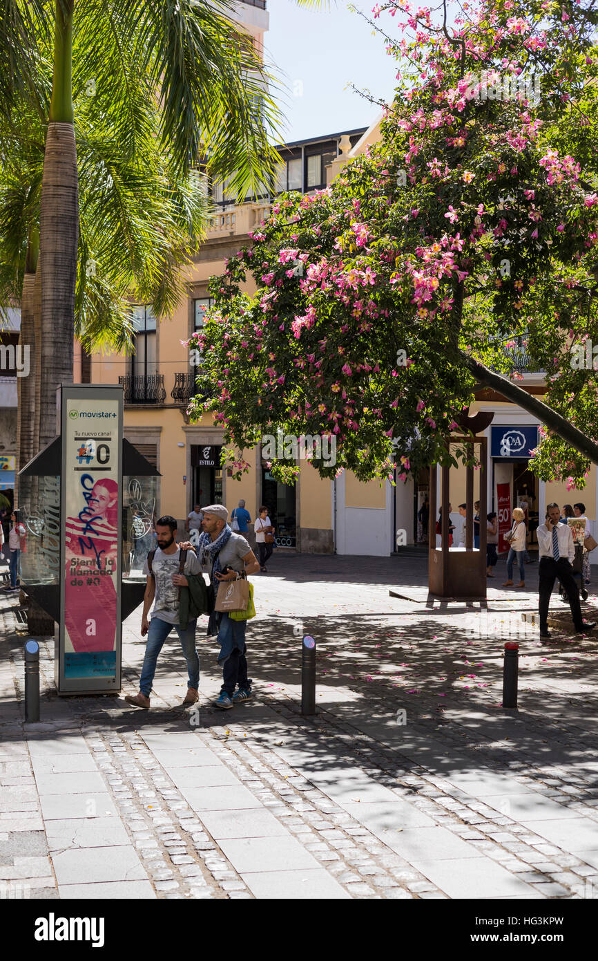 santa-cruz-tenerife-calle-castillo-hi-res-stock-photography-and-images