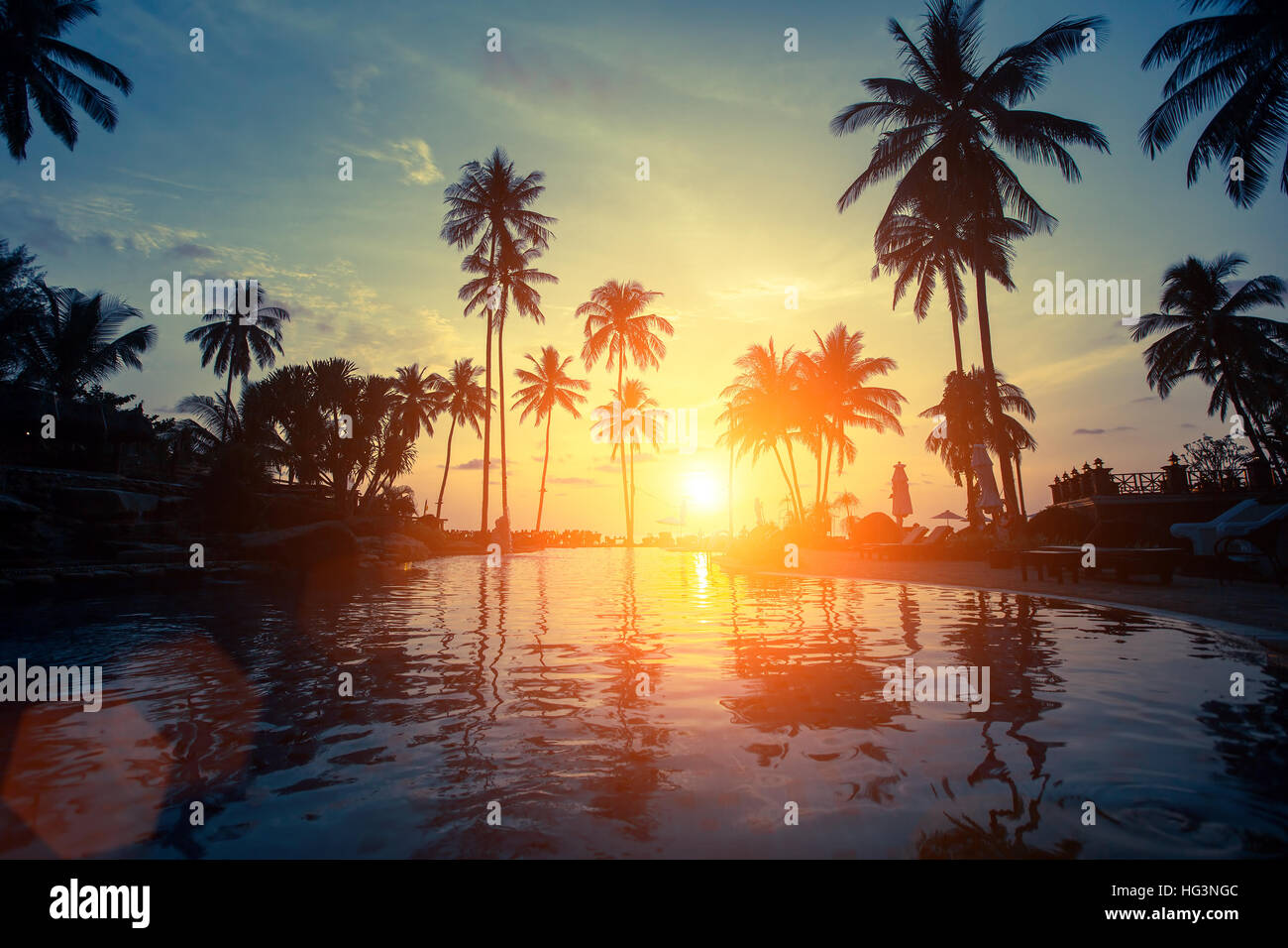 Beautiful sunset among the palms on a tropical beach Stock Photo - Alamy