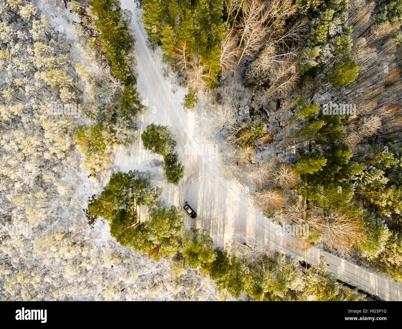 aerial view of snowy forest in sunny winter day with country road ...