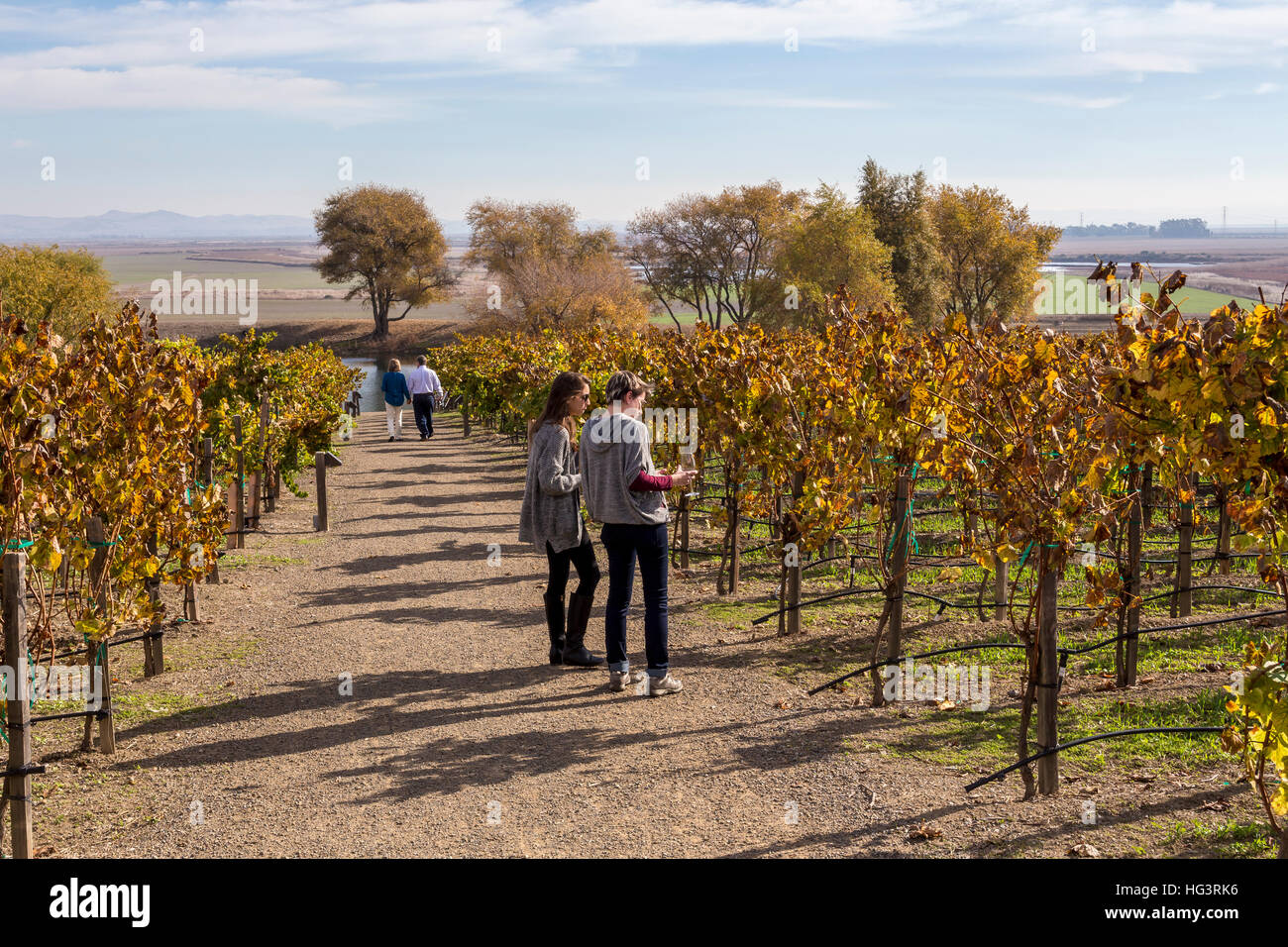 People, wine tasting, vineyard tour, Ram’s Gate Winery, Sonoma, Sonoma County, California Stock Photo