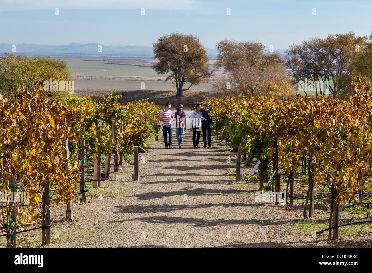 People, wine tasting, vineyard tour, Ram’s Gate Winery, Sonoma, Sonoma County, California Stock Photo