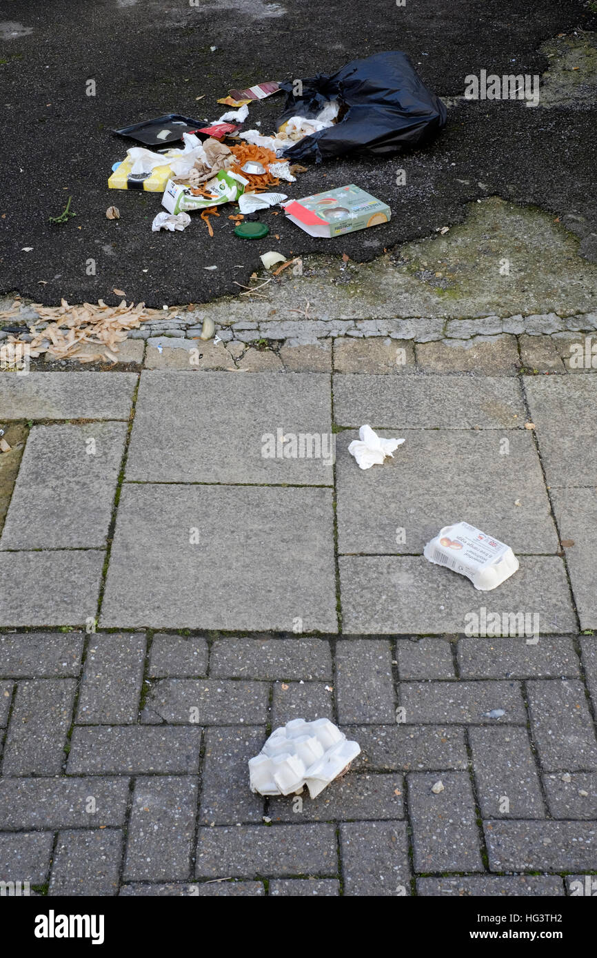 rubbish strewn over house forecourt from split open bin bag Stock Photo
