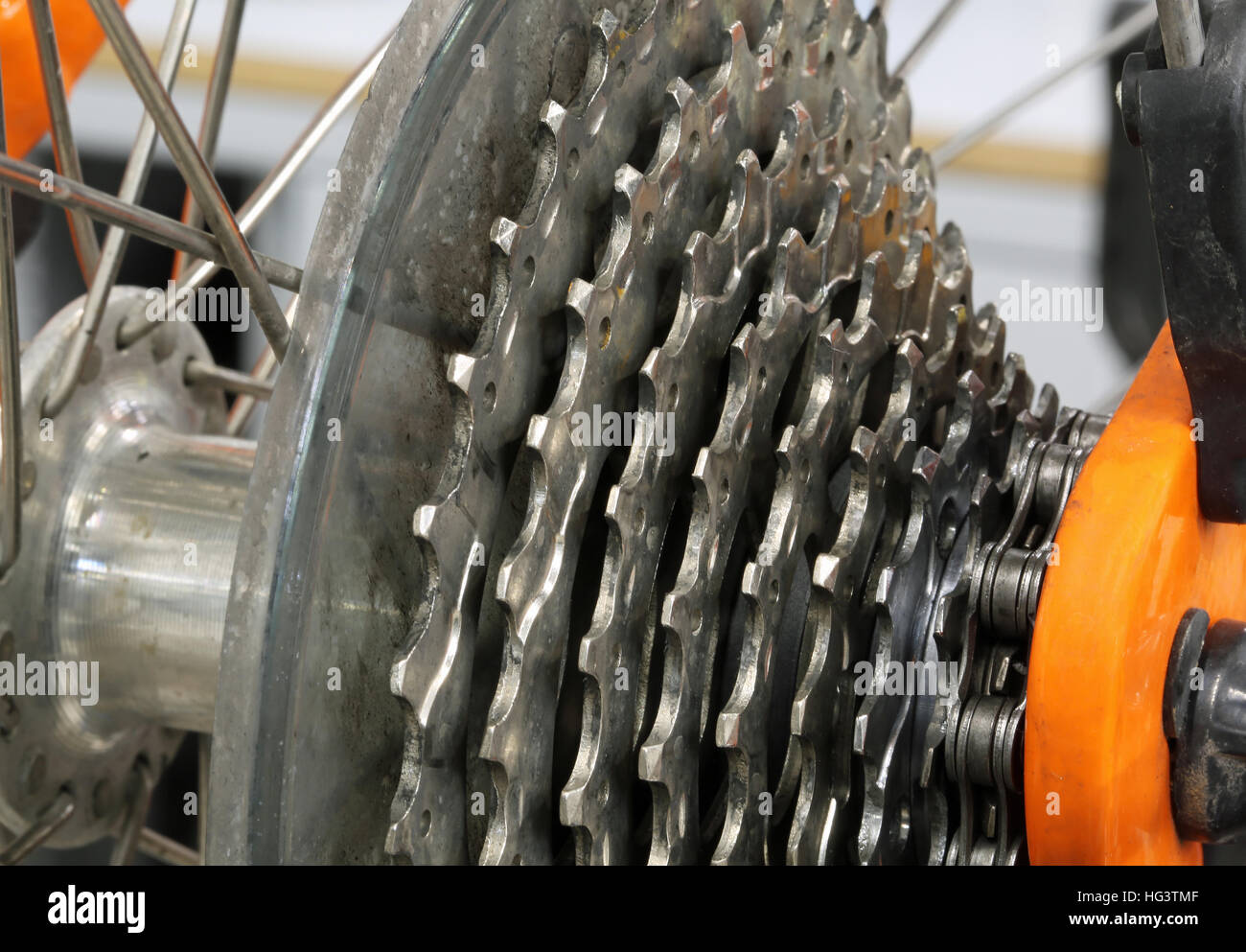 detail of a cogset also called cluster of a racing sports bike with