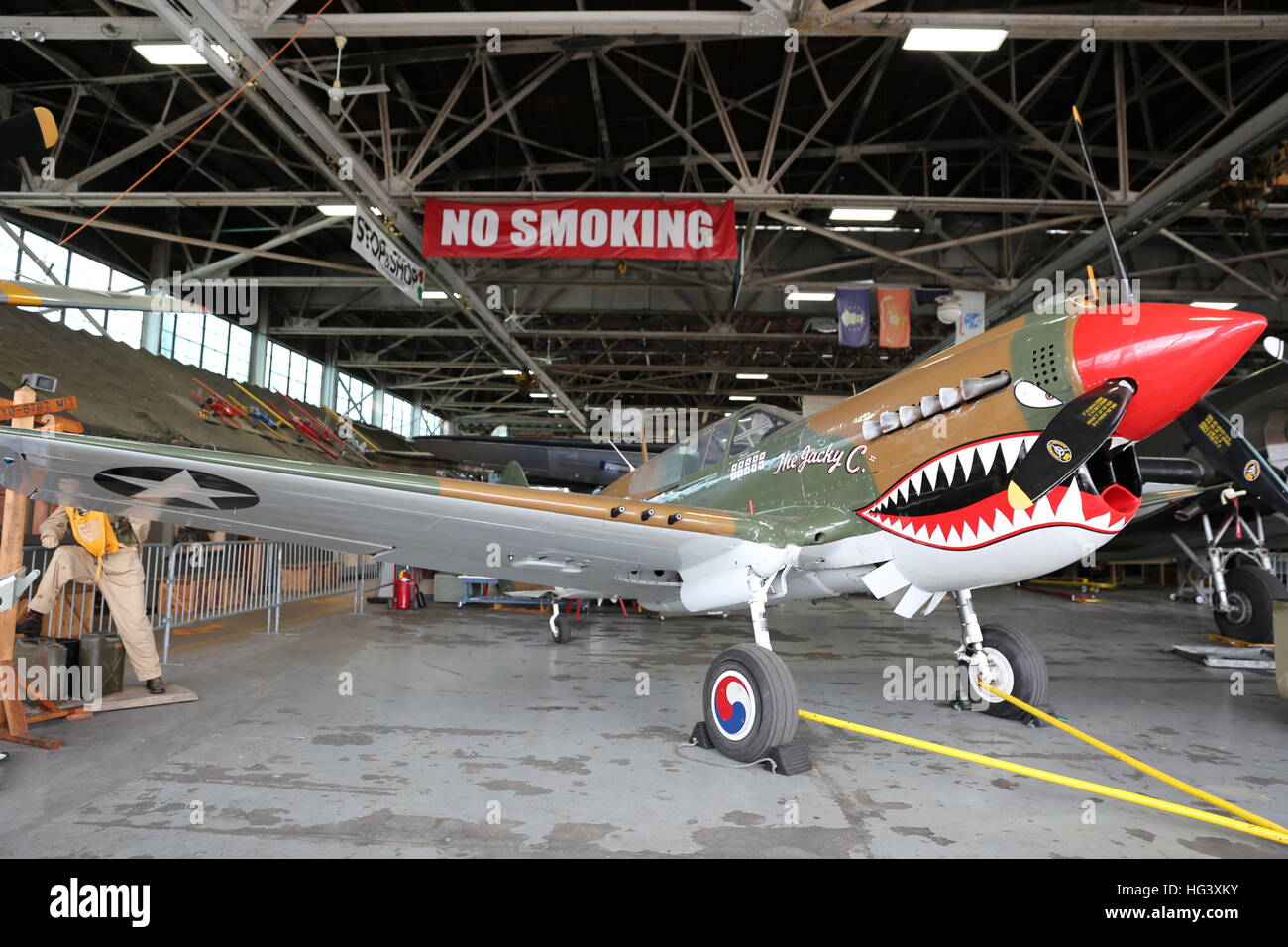 P-40 Warhawk at the American Air Power Museum Stock Photo