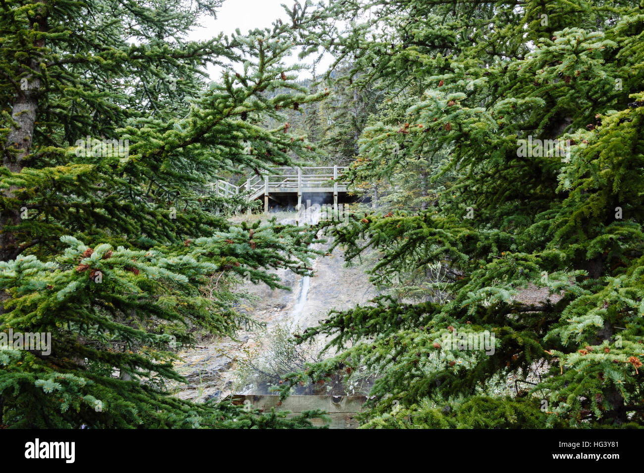 Water from the Banff hot springs streaming down the hillside of Sulphur Mountain in the Banff National Park - Alberta, Canada Stock Photo