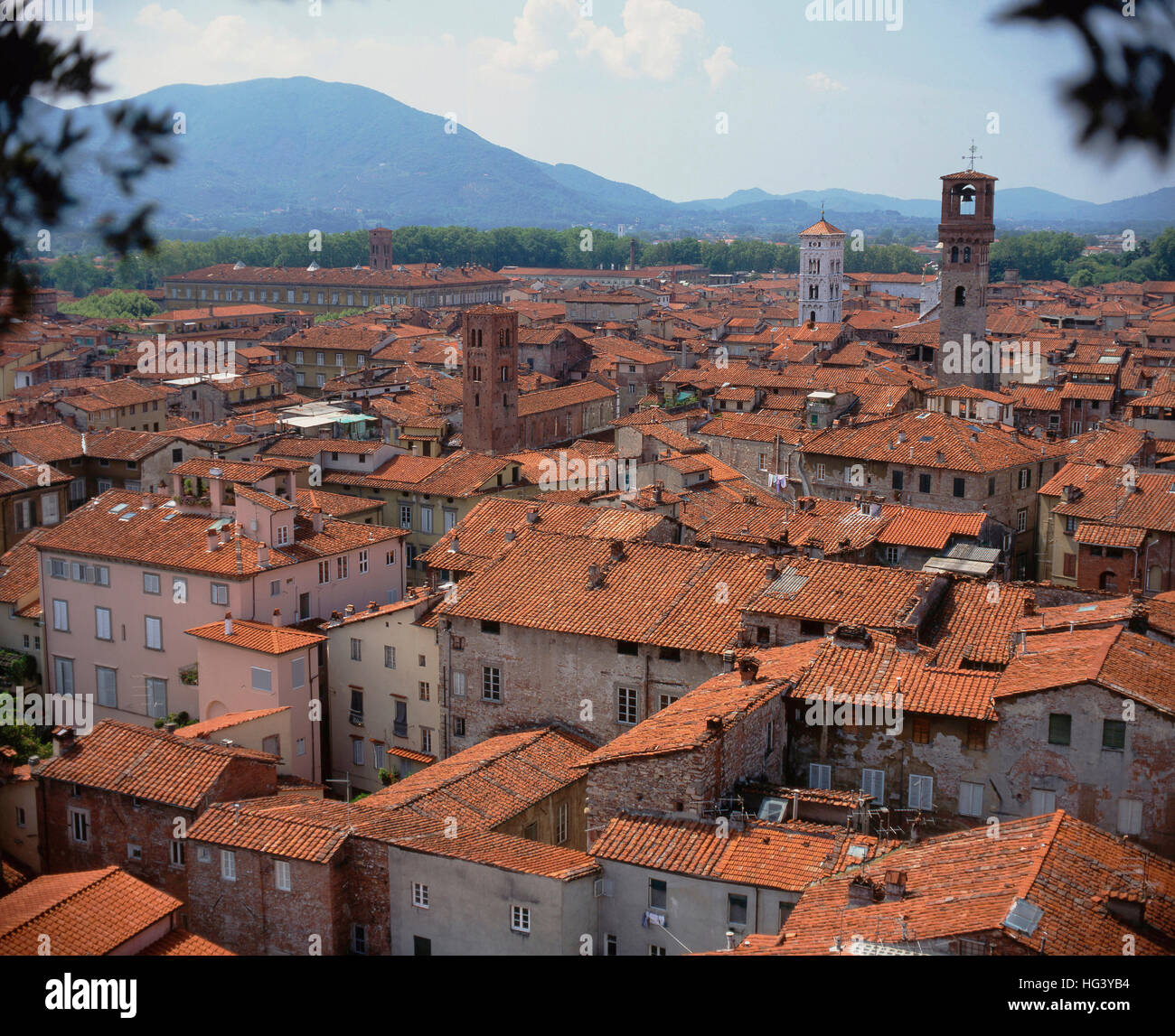 The rooftops of Lucca, Tuscany, Italy . Stock Photo