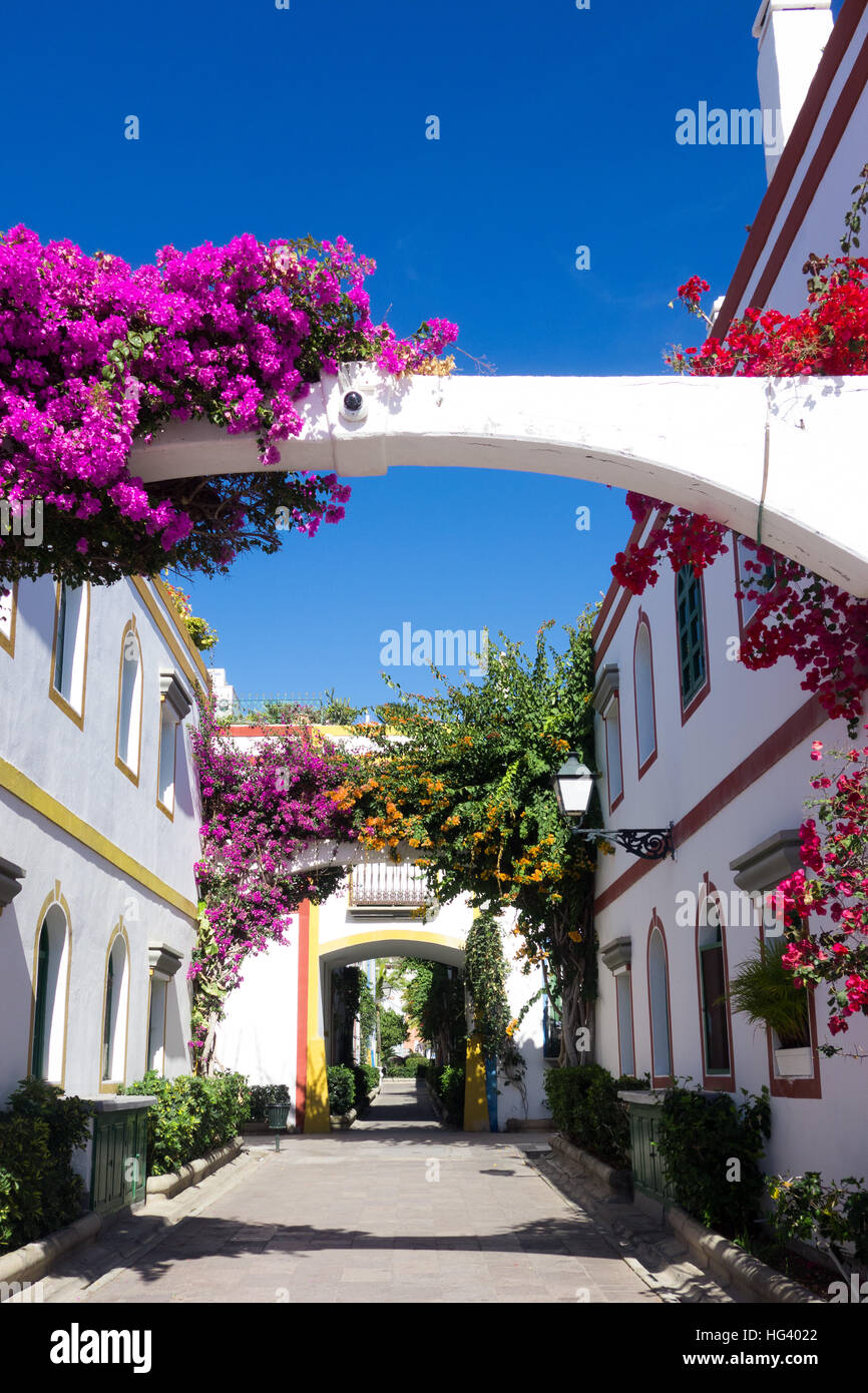 A typical street in Puerto De Mogan with wall flowers that includes purple Bougainvillea around the arches. Stock Photo