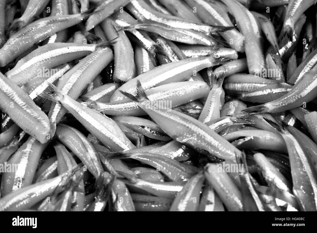 multiples of fish Stock Photo