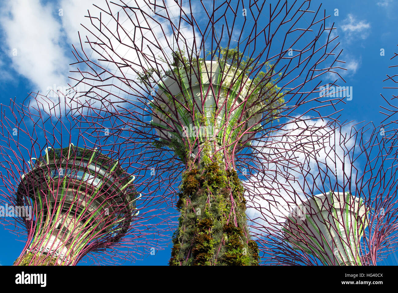 Gardens by the bay singapore hi-res stock photography and images - Alamy