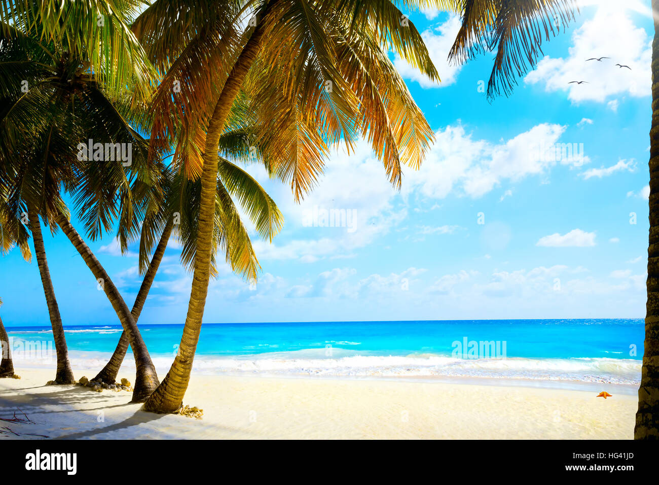 Art beautiful untouched tropical hi-res stock photography and images ...
