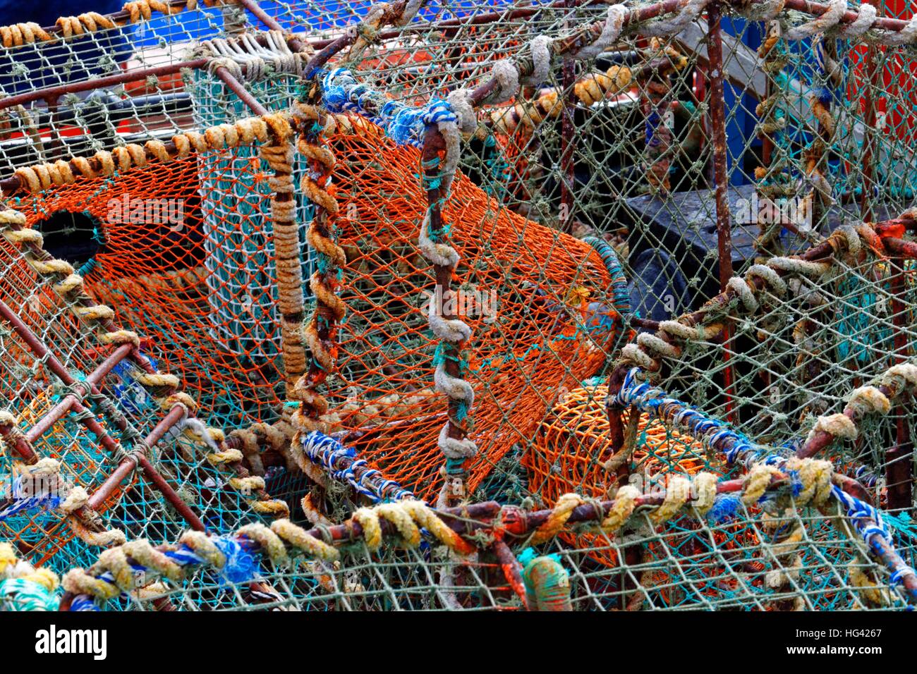 Clam fishing net hires stock photography and images Alamy