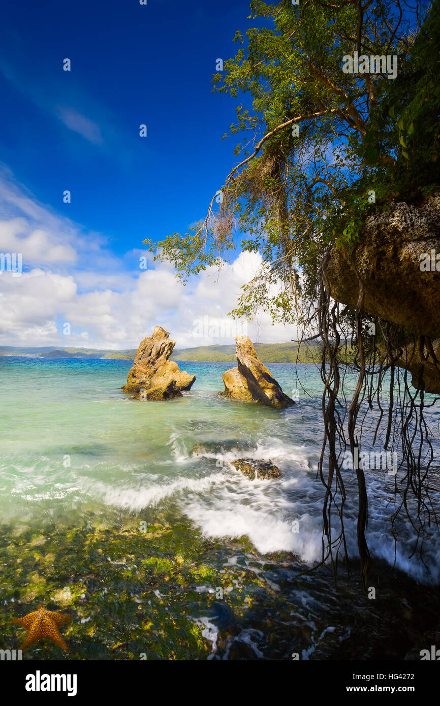 Art tropical coast beach hi-res stock photography and images - Alamy
