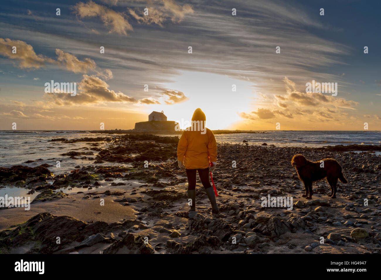 Lady in yellow coat with her black dog stands on the causeway leading to St Cwyfan's Church in the Irish Sea, watching a sunset Stock Photo
