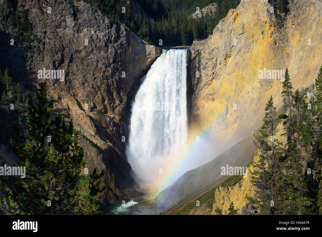 Beautiful Lower Falls Yellowstone River at Yellowstone National Park with natural Rainbow in the morning. Very high waterfall in Wyoming. Stock Photo