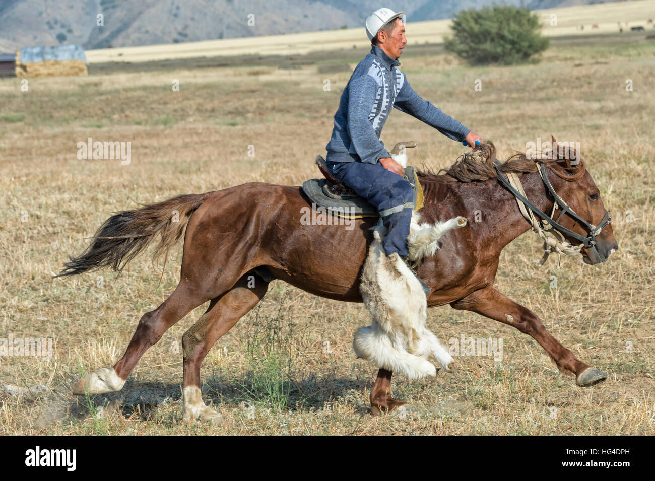 Traditional Kokpar (buzkashi) in the outskirts of Gabagly National Park, Shymkent, South Region, Kazakhstan, Central Asia Stock Photo