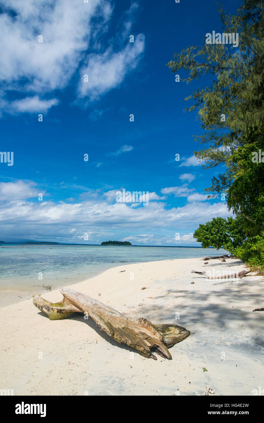 Turquoise water and a white beach on Christmas Island, Buka, Bougainville, Papua New Guinea, Pacific Stock Photo