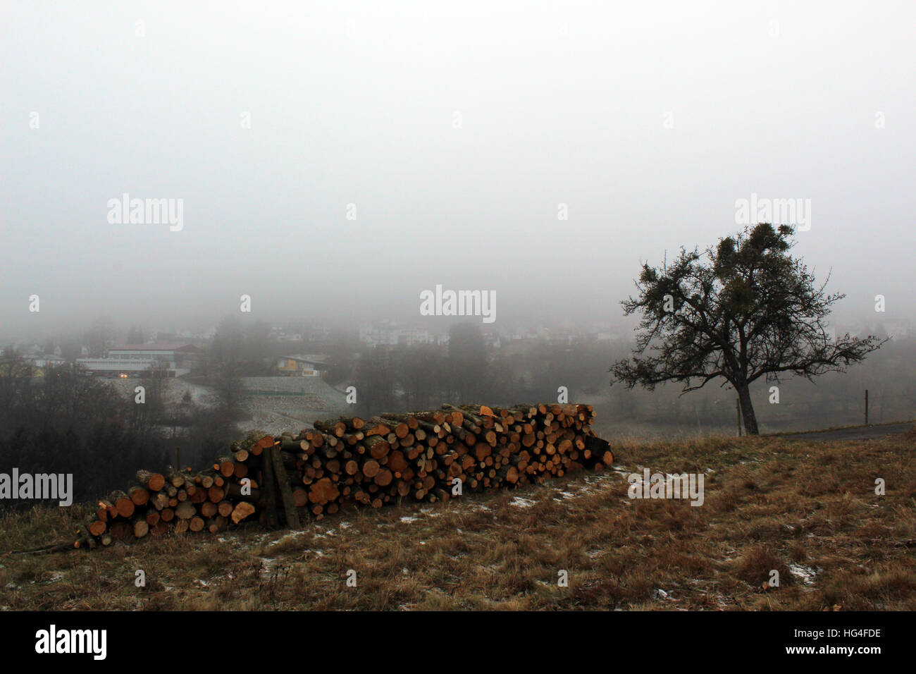 Firewood near a tree, behind a foggy landscape Stock Photo