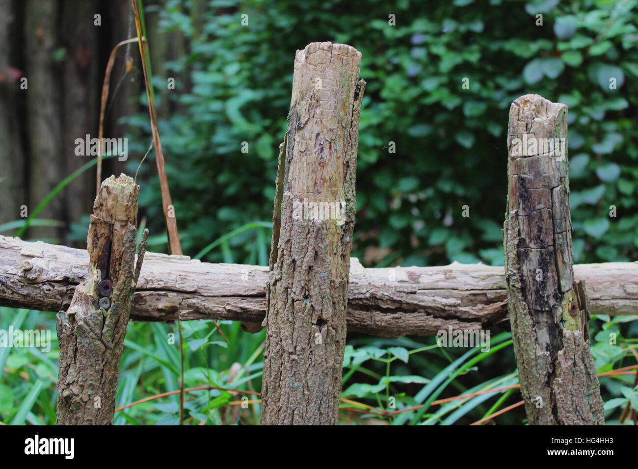 Old wood fence Stock Photo