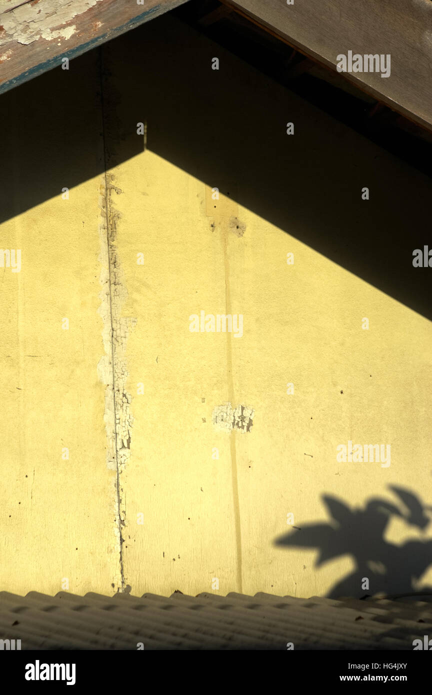 Roof structure of a residential house with shadows of tree leaves Stock ...