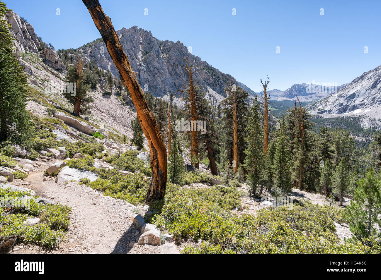 On John Muir Trail, Kings Canyon National Park, California, United States of America, North America Stock Photo