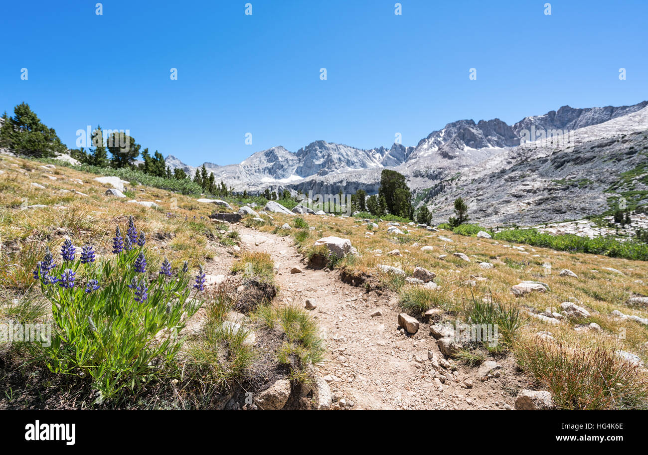 On John Muir Trail, Kings Canyon National Park, California, United States of America, North America Stock Photo