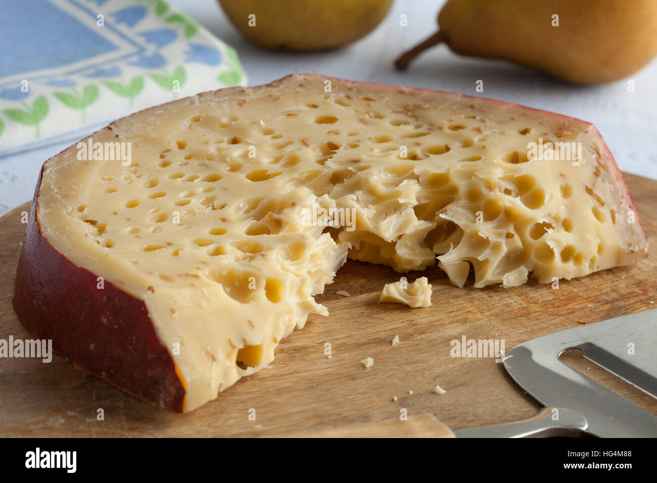 Piece of Leiden organic cumin cheese with a lot of holes Stock Photo