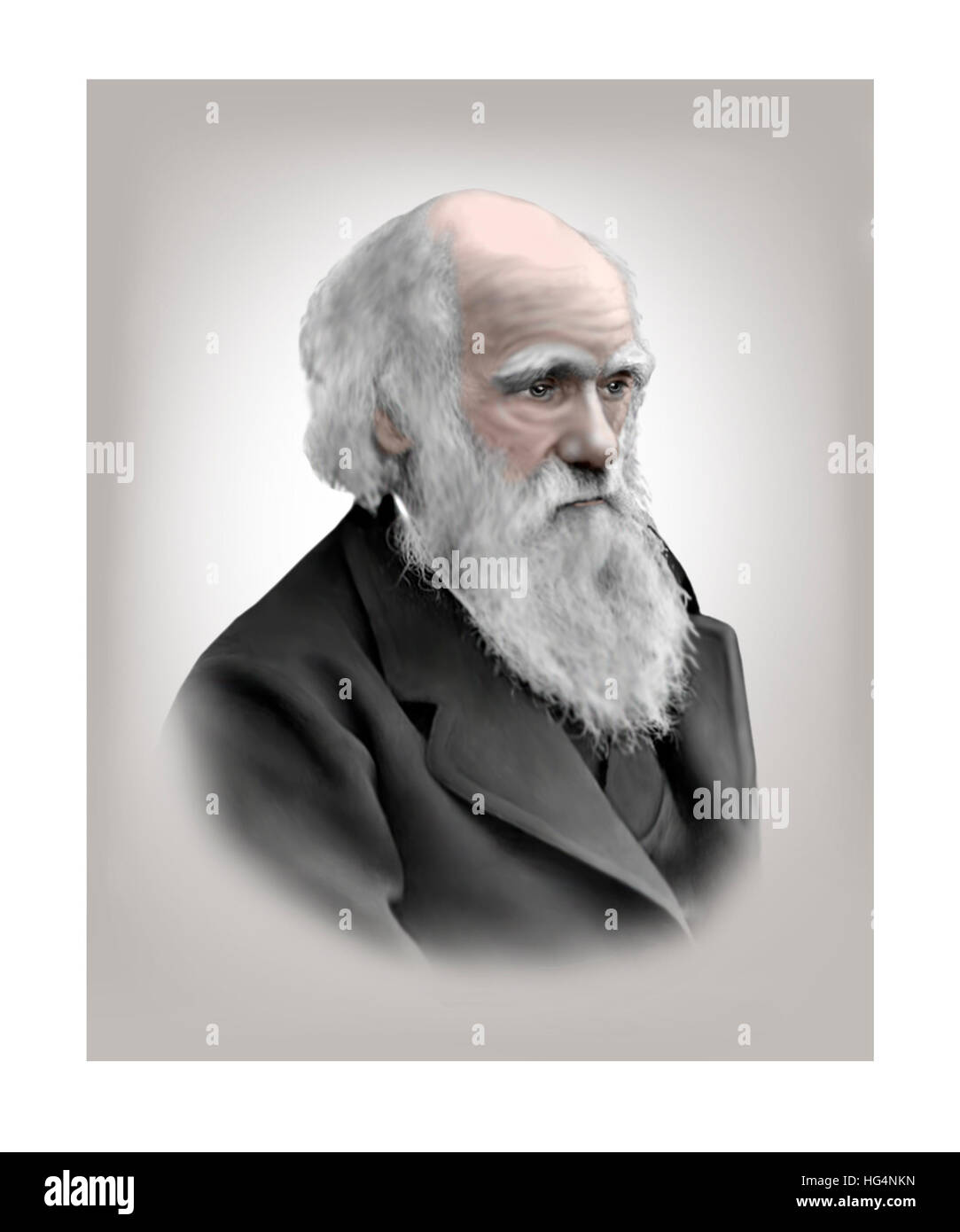 Charles Darwin, 1809-1882, Naturalist Stock Photo