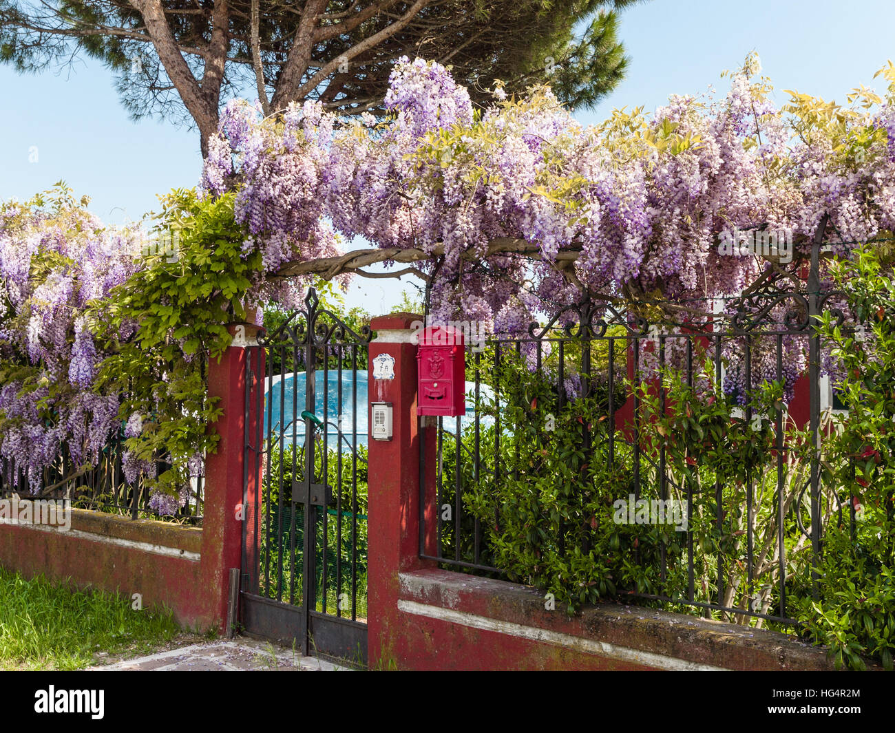 Garden gate with a wisteria plant growing along the fence on the island