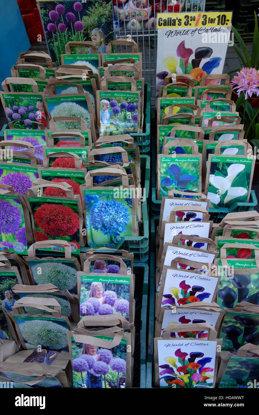 Bloemenmarkt, Flower Market, Amsterdam, Holland Stock Photo Alamy