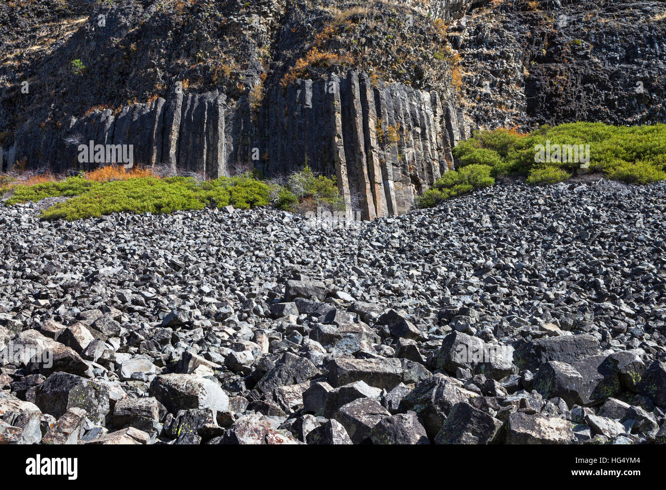 Basaltic columns and talus at the Columns of the Giants in Tuolumne County, California Stock Photo