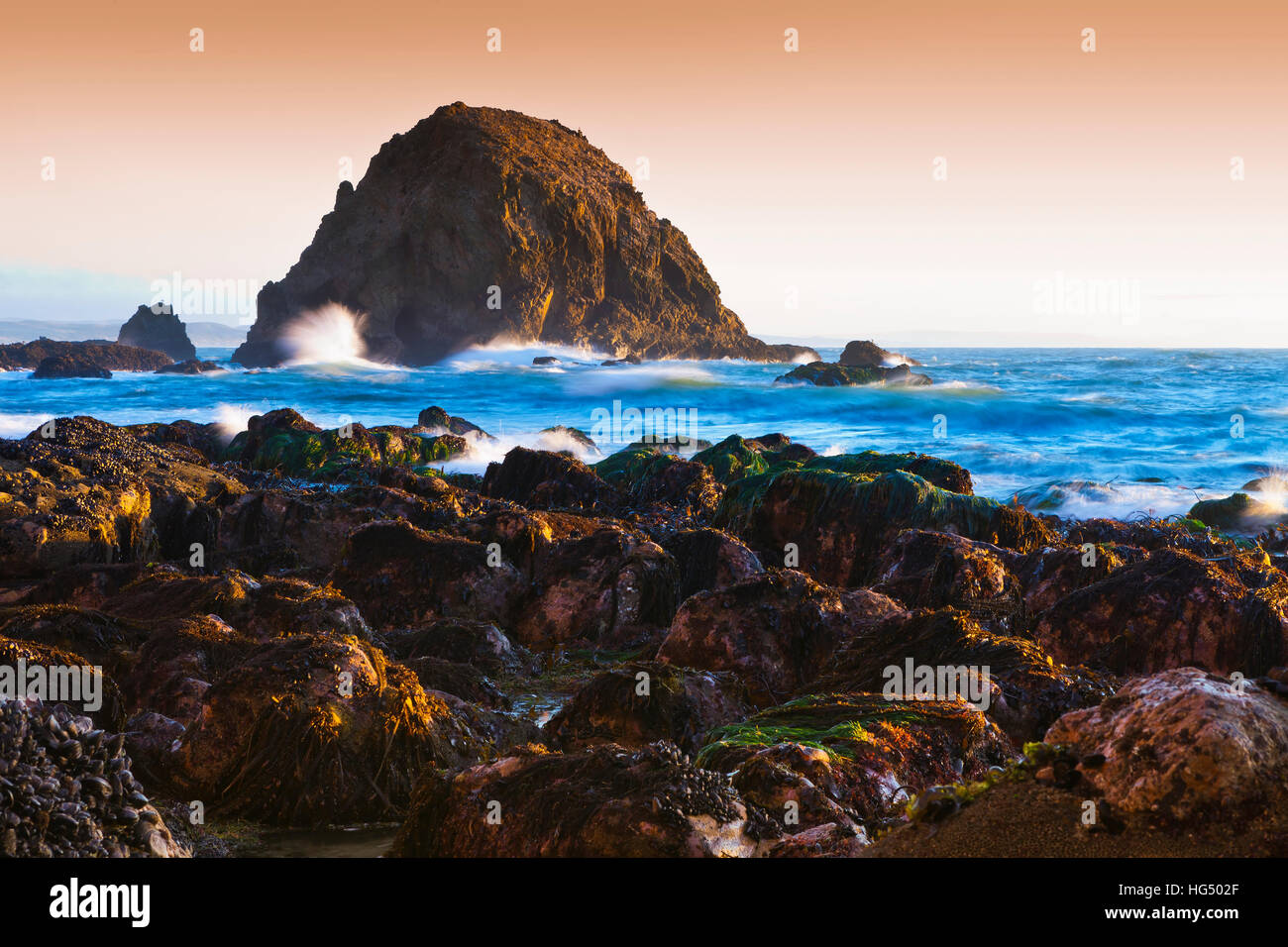 Point Reyes Sea Shore Landscape with sea stacks Stock Photo - Alamy