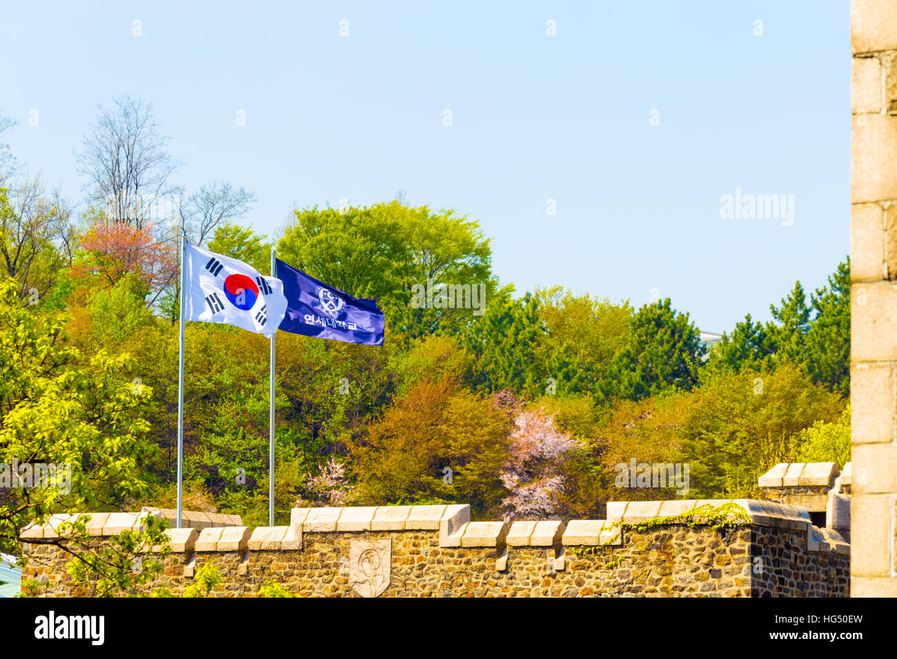 The flag of Yonsei University and national Korean Taegukgi flag flying above a main quad building in front of blossoming spring Stock Photo