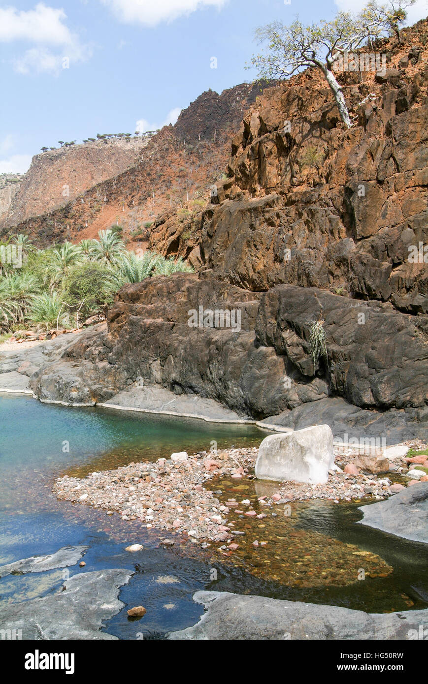 The oasis Wadi Daerhu on the island of Socotra, Yemen Stock Photo