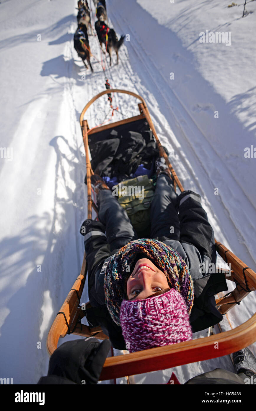 Young woman enjoying wilderness husky sledding taiga tour with Bearhillhusky in Rovaniemi, Lapland, Finland Stock Photo