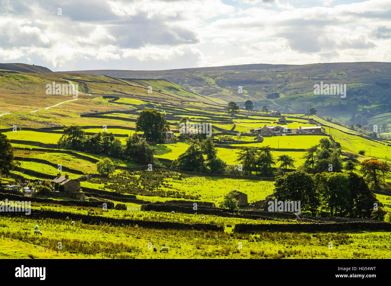 Pattern of fields walls and farms at High Whitaside above Swaledale in the Yorkshire Dales National Park England Stock Photo