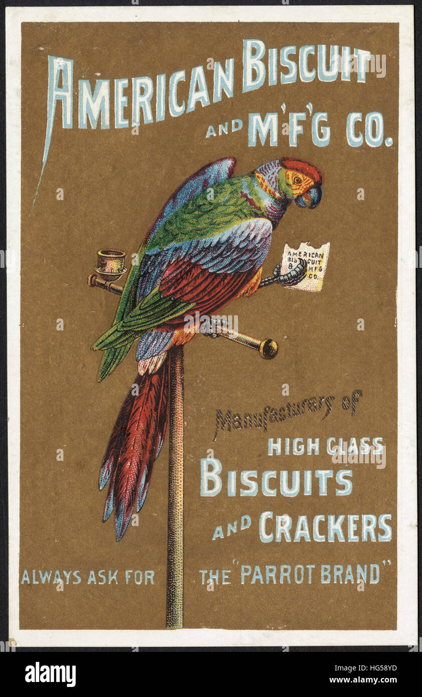 Baking Trade Card -  American Biscuit and M'f'g co. Manufacturers of high class biscuits and crackers. Always ask for the 'Parrot Brand' Stock Photo