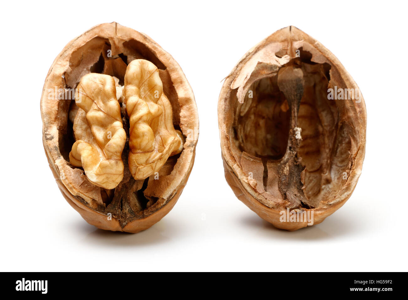 Walnut In Half Half a piece of walnut Stock Photo - Alamy