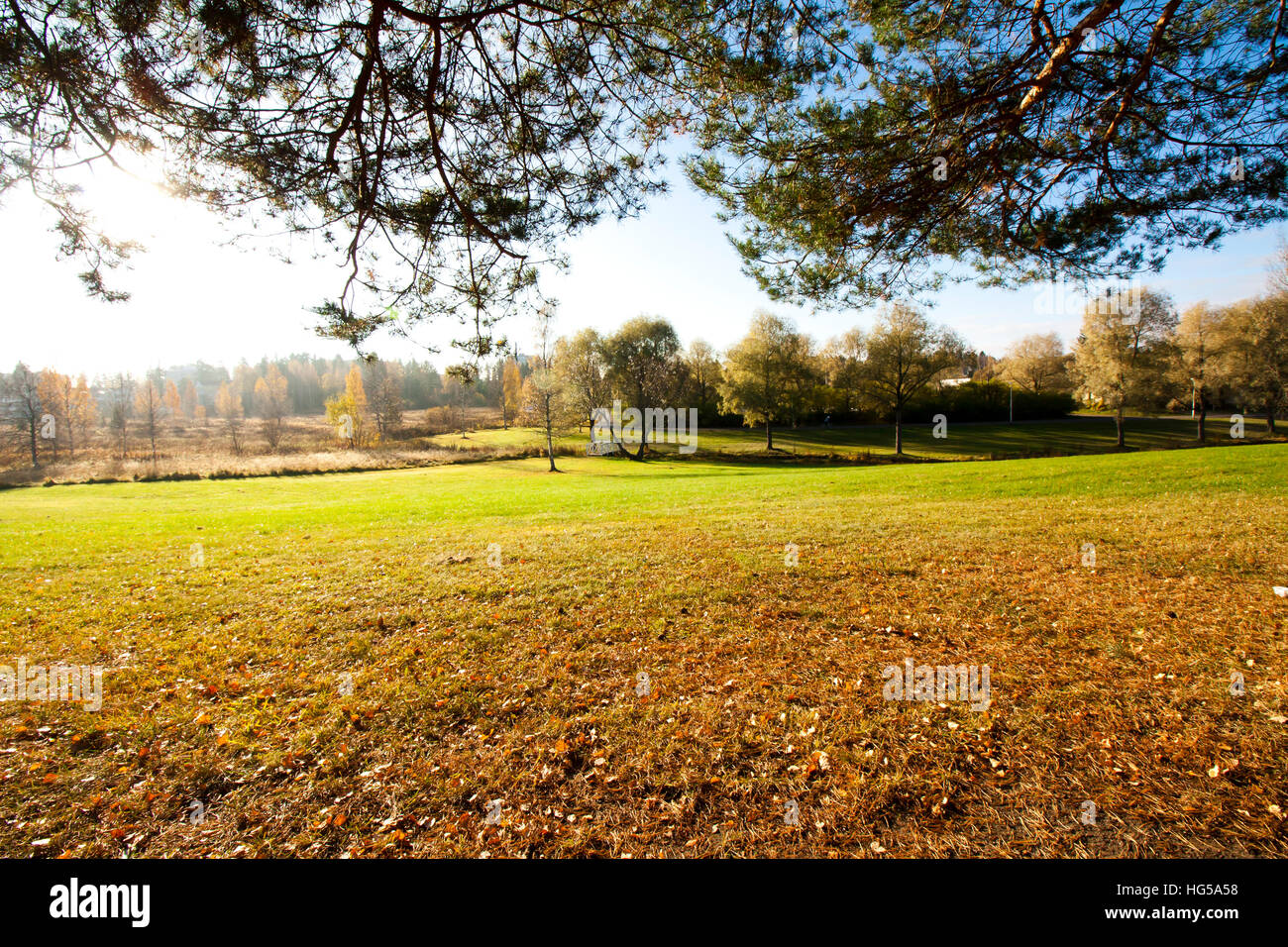 Beautiful autumn in city park at september Stock Photo - Alamy