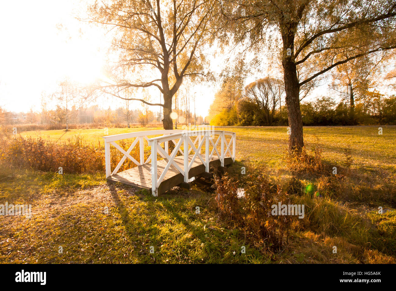 Beautiful autumn in city park with bridge and ducks Stock Photo - Alamy