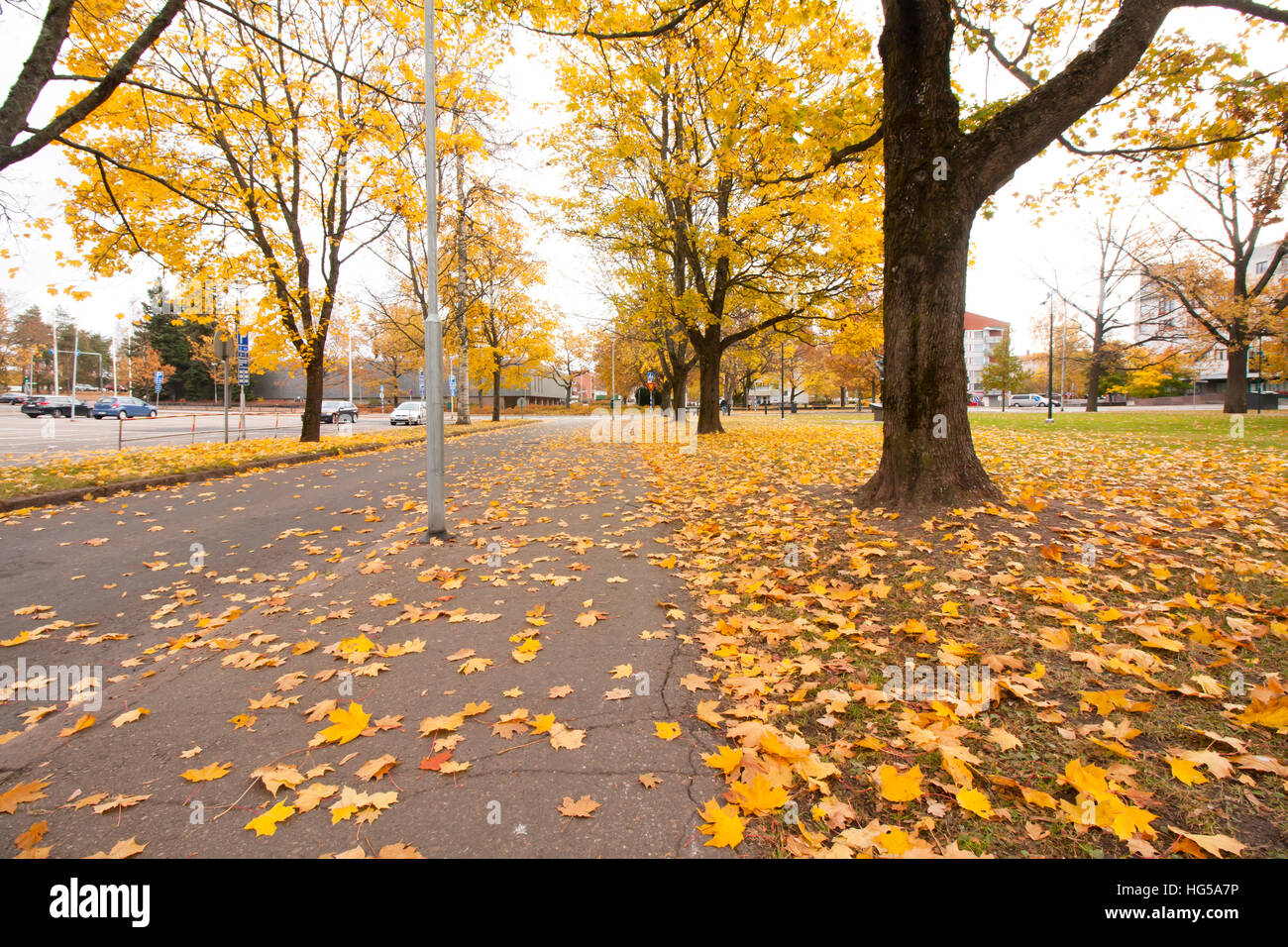 Beautiful autumn in city park at september Stock Photo - Alamy
