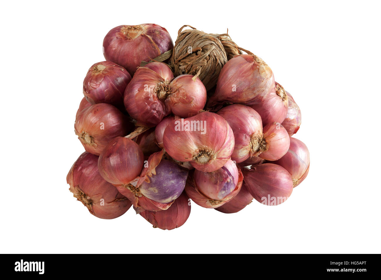 Bunch of shallots stock photo. Image of plant, shallot - 31223948