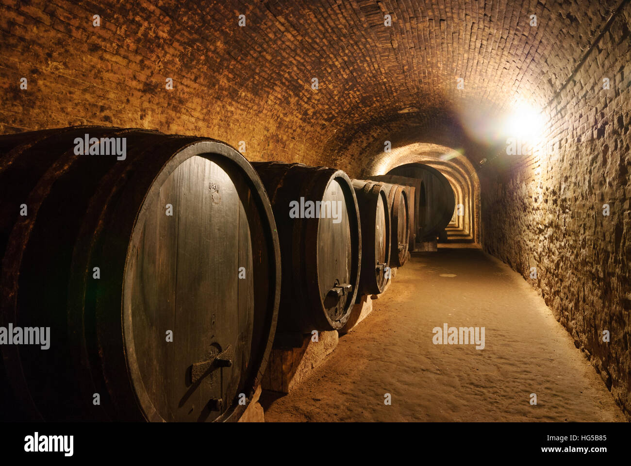 Retz: Retz experience wine cellar; Wine barrels, Weinviertel, Niederösterreich, Lower Austria, Austria Stock Photo