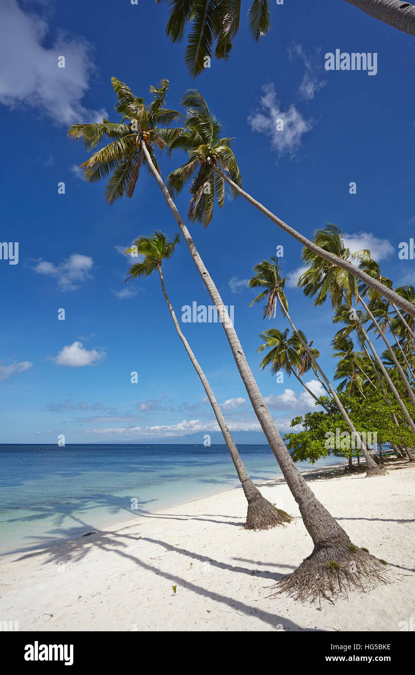 Paliton Beach, near San Juan, Siquijor, Philippines, Southeast Asia, Asia Stock Photo