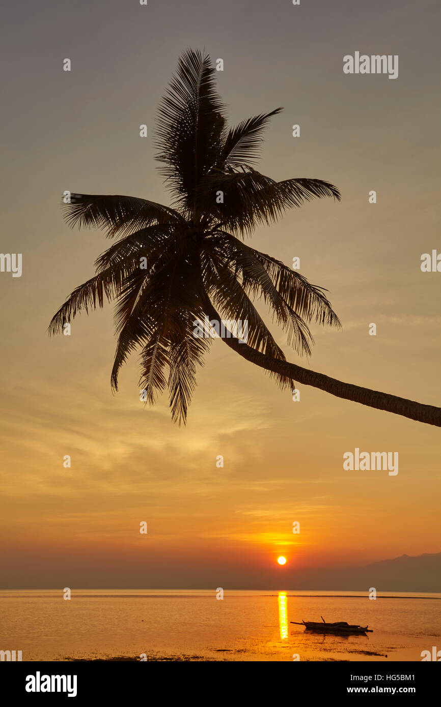 A sunset silhouette of a coconut palm at Paliton beach, Siquijor, Philippines, Southeast Asia, Asia Stock Photo