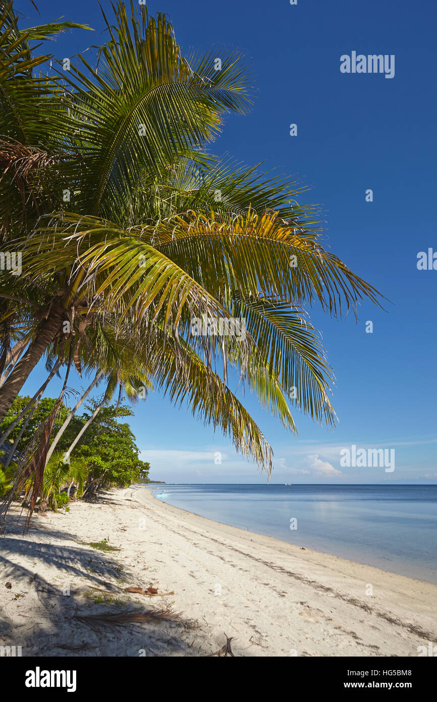 The beach at San Juan on the southwest coast of Siquijor, Philippines, Southeast Asia, Asia Stock Photo